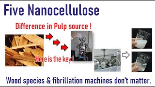 Five nanocellulose productions [upl. by Anitnauq]