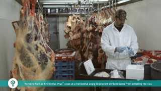 Environmental Swabbing  How to Collect Samples from Meat [upl. by Ainos]