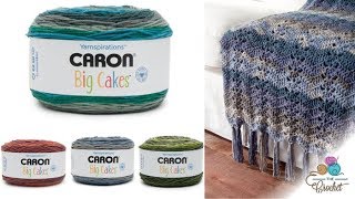 Caron Big Cakes Yarn  The Crochet Crowd [upl. by Larimer323]