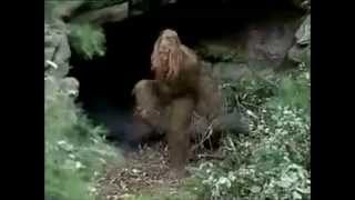 Messin With Sasquatch Greatest Hits [upl. by Engel]