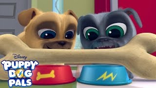 Theme Song  Puppy Dog Pals  Disney Junior [upl. by Snider]