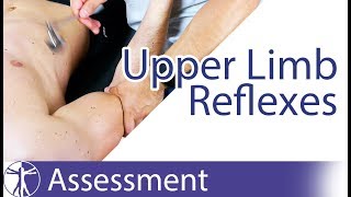 Upper Limb Deep Tendon Reflexes  Peripheral Neurological Examination [upl. by Brie258]