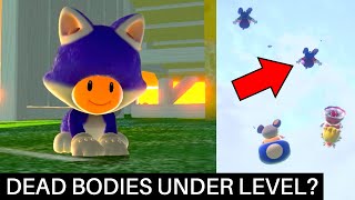 The Weird Title Screen Levels of Super Mario 3D World [upl. by Calvinna]