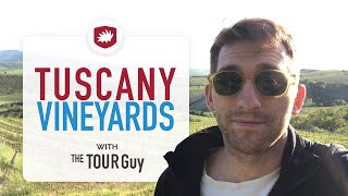 How to visit Vineyards in Tuscany [upl. by Anemolif]