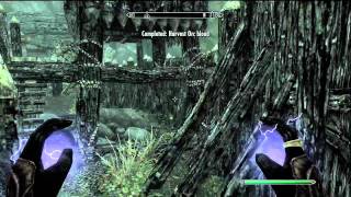 Skyrim Discerning The Transmundane Harvest Blood Walkthrough [upl. by Aicirtan]