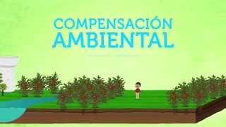 Compensación Ambiental Una oportunidad para todos [upl. by Hujsak]