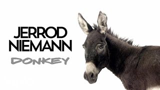 Jerrod Niemann  Donkey Audio [upl. by Ellenahc799]