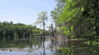 Merritts Mill Pond [upl. by Chee921]