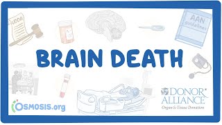 Donor Alliance  Brain Death [upl. by Eeldarb730]