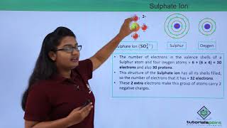 Class 9th – Polyatomic Ions  Atoms and Molecules  Tutorials Point [upl. by Alejo]