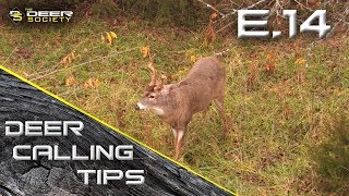 Deer Calling Tips  E14 SnortWheeze [upl. by Jules]