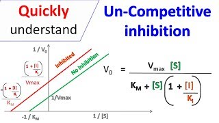 Uncompetitive inhibition [upl. by Judah172]