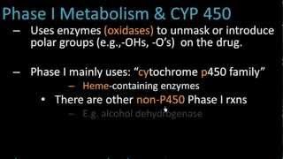 Phase I Metabolism  Pharmacology Lect 7 [upl. by Etolas]