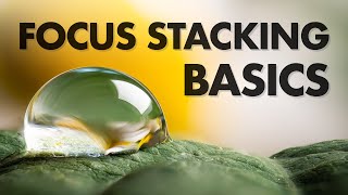 Focus Stacking Basics in Macro Photography [upl. by Ytissahc619]