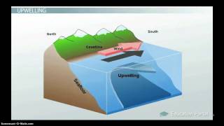 Ocean Circulation Patterns amp Effect on Climate [upl. by Shipman154]