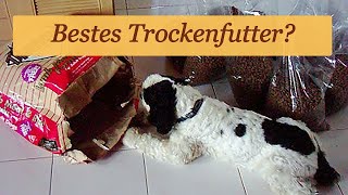 Hunde  Trockenfutter [upl. by Aztilem15]