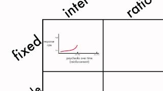 Learning Schedules of Reinforcement [upl. by Squire]