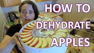 Dehydrating Apples  Quick and Easy Snack  Fermented Homestead [upl. by Abbottson761]