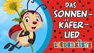 Das Sonnenkäferlied Erst kommt der Sonnenkäferpapa  Kinderlieder zum Mitsingen  Liederkiste [upl. by Tiebold]