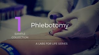 Phlebotomy [upl. by Bagger]