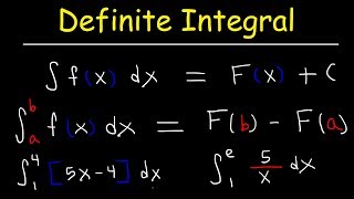 Definite Integral [upl. by Rosalia]