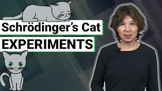 Understanding Quantum Mechanics Schrödingers Cat Experiments [upl. by Anilok]