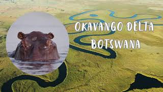 Okavango Delta  Botswana [upl. by Nerad]