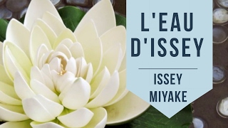 Issey Miyake Leau dIssey  Fragrance Review [upl. by Suissac645]