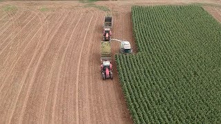 Final Corn Silage Harvest of 2019  Packing and Covering Bunker Silos [upl. by Osanna]