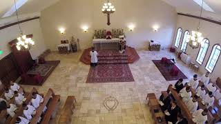 Low Mass One Server Traditional Latin mass St Thomas Aquinas Seminary Virginia SSPX [upl. by Ingrim577]