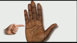 CHILDREN LINES Female Palm Reading Palmistry 100 [upl. by Yentihw]