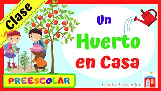 UN HUERTO EN CASA Aprendeencasa PREESCOLAR [upl. by Mandy758]