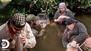 Pruebas de supervivencia en los climas más extremos  Desafío x 2  Discovery En Español [upl. by Dov]