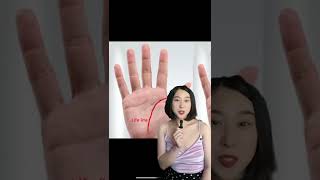 How to read PALM Part 1 chineseculture learnchinese palmistry intuition fate prophecy [upl. by Gaiser]