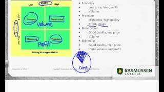 Marketing Mix Pricing Strategies [upl. by Towers]