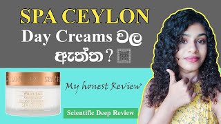 Spa Ceylon Day Cream Scientific Review Sinhala [upl. by Xeno]