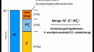 Understanding Anion Gap in 5 minutes [upl. by Braeunig25]