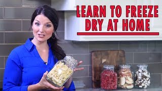 Home Freeze Drying  How It Works [upl. by Namwob168]