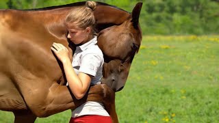 These Animals Reunited With Owners After Years [upl. by Enogitna]