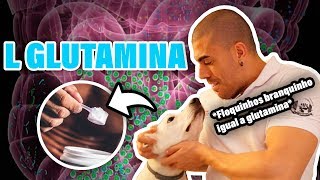 Tudo sobre L Glutamina [upl. by Anitnamaid]