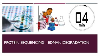 Protein Sequencing  Edman Degradation [upl. by Boeke]