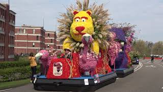 Bloemencorso bollenstreek 2023 [upl. by Savadove289]