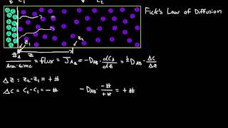 Ficks First Law of Diffusion [upl. by Twedy]