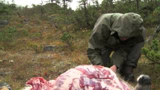 How to Quarter and Pack Game out of the Backcountry  Conservation Field Notes with Steven Rinella [upl. by Barnaby]