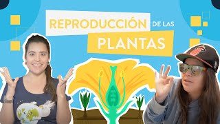 La reproducción de las plantas [upl. by Enrico588]