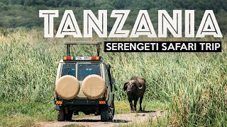 TANZANIA SAFARI  Exploring The Serengeti [upl. by Odel]