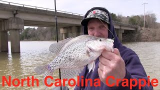 North Carolina Crappie Fishing [upl. by Asseret166]