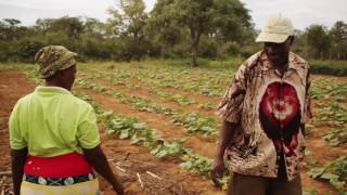 Conservation Agriculture Islands of hope [upl. by Direj186]