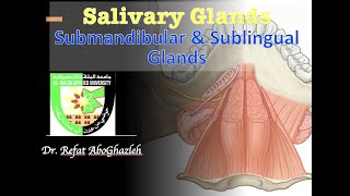 Submandibular and Sublingual Glands [upl. by Gunning]