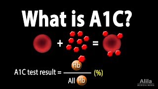 A1C Test for Diabetes Animation [upl. by Druci]